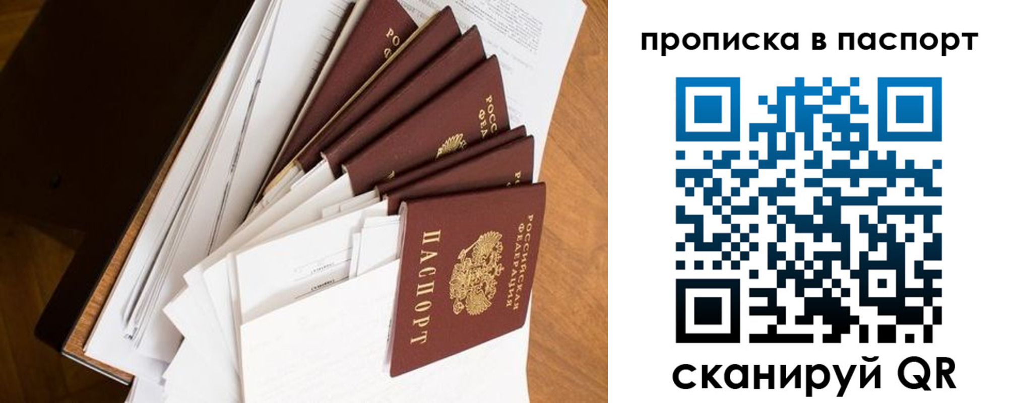 прописка 2025 в Болотном